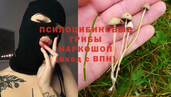 PSILOCYBIN Аркадак